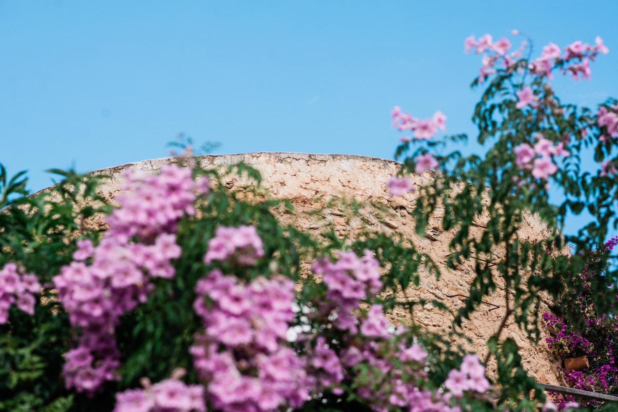 Can Quince Balafia Ibiza Hotel - Turismo De Interior Sant Llorenc de Balafia Екстериор снимка