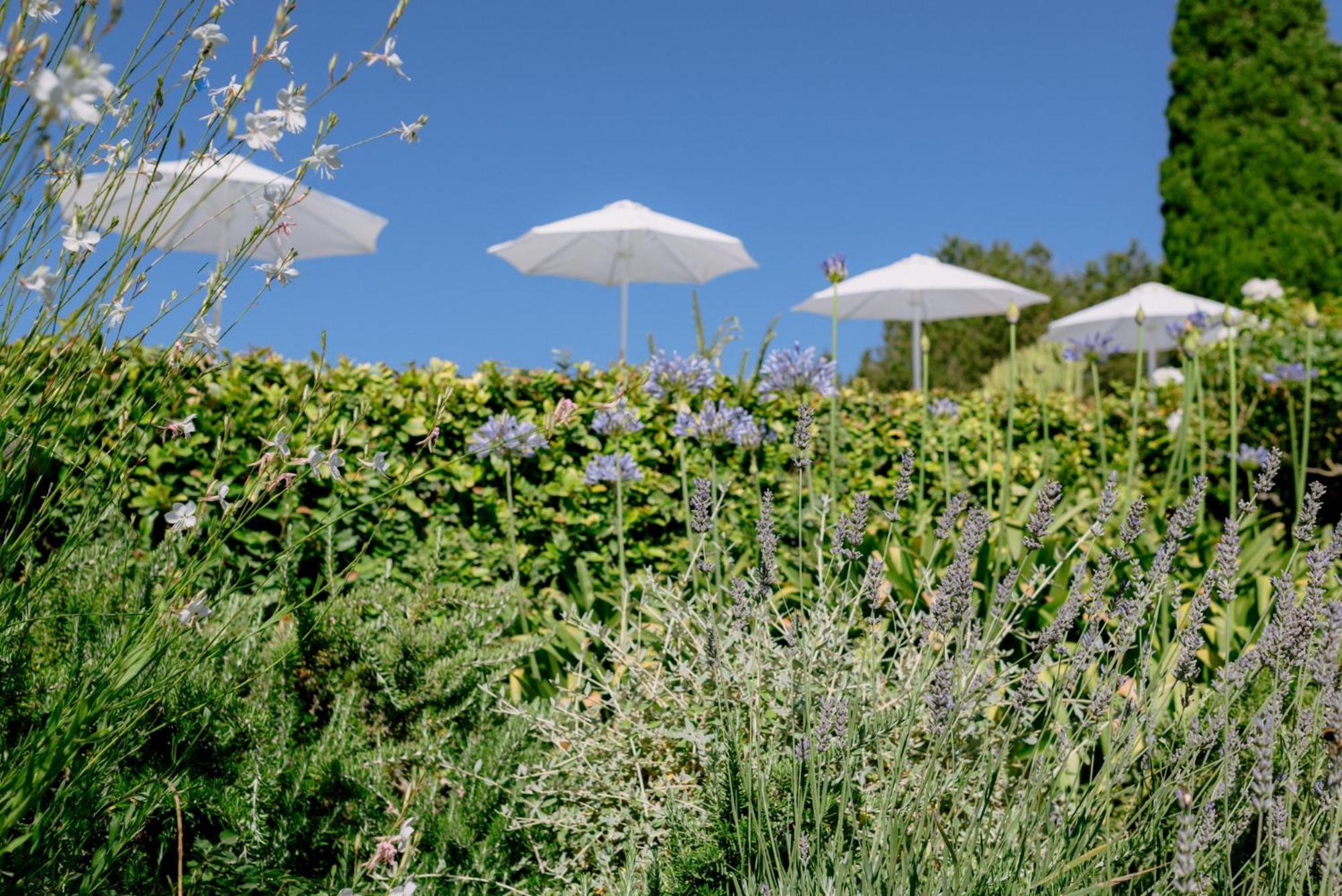 Can Quince Balafia Ibiza Hotel - Turismo De Interior Sant Llorenc de Balafia Екстериор снимка